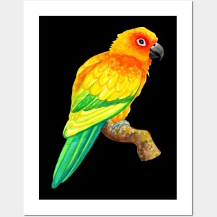 Sun Conure Parrot Watercolor Posters and Art